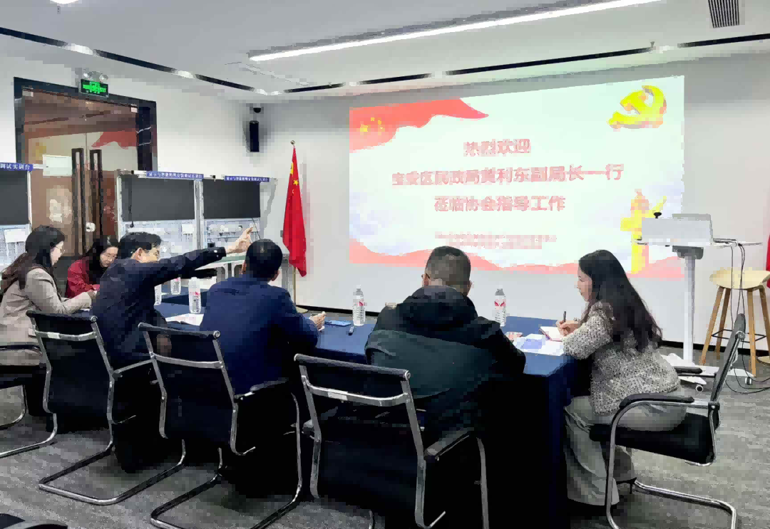深圳市照明与显示工程行业协会2025年3月工作报告