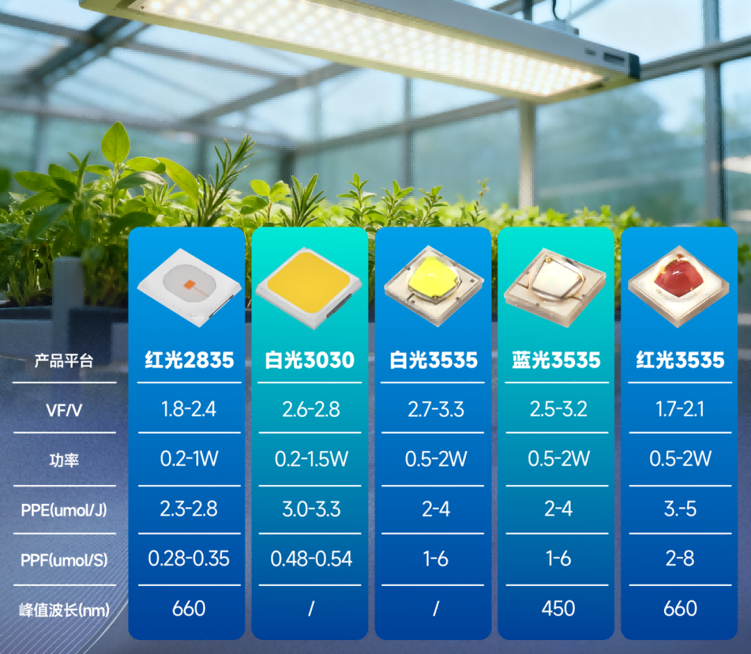 SLDA副会长单位国星光电推出“智耕之星”AI种植生态系统