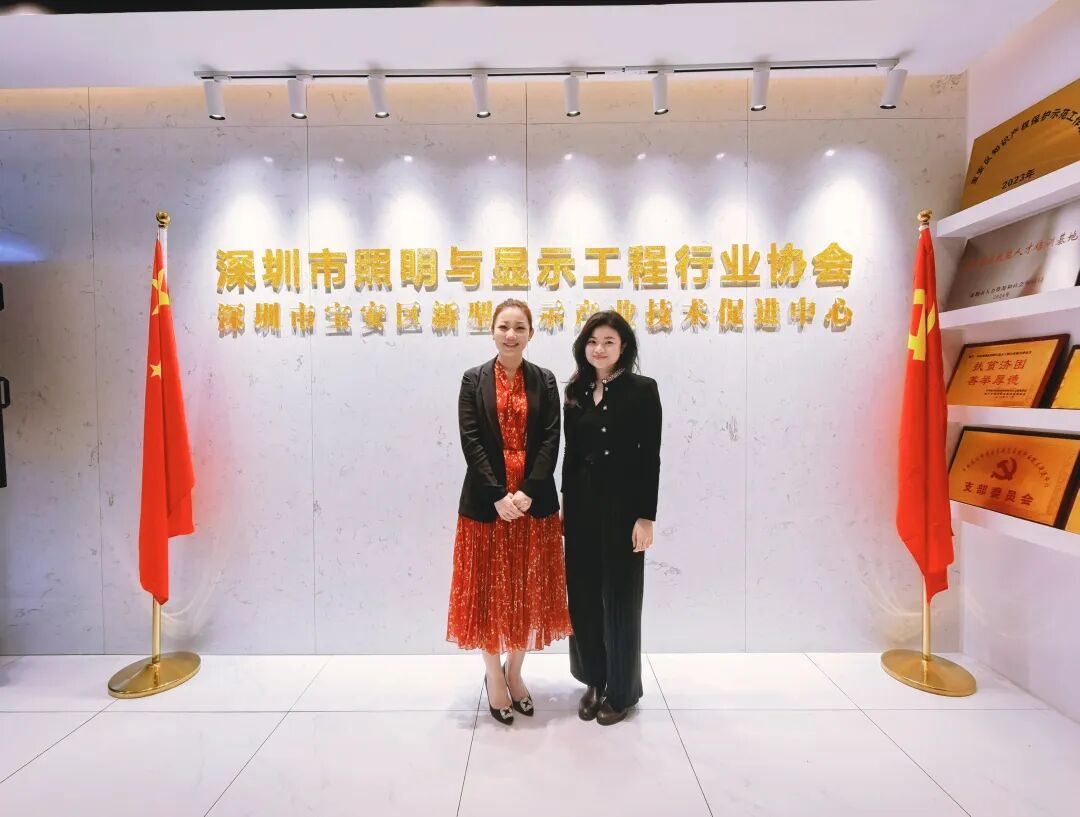 深圳市照明与显示工程行业协会走访会员企业系列报道