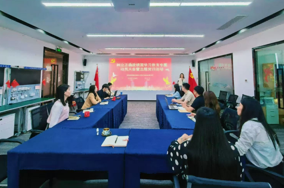 深圳市照明与显示工程行业协会基层党支部扎实开展政绩观学习教育